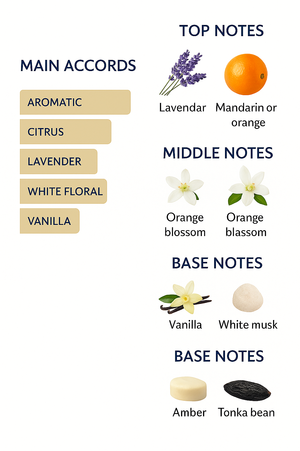 Yves Saint Laurent Liberation Perfume 100ml