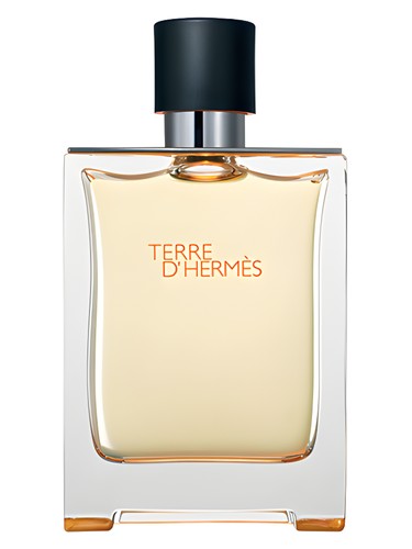 Terre d'Hermès Hermès for men