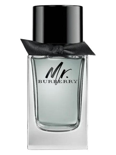 Mr. Burberry Burberry for men