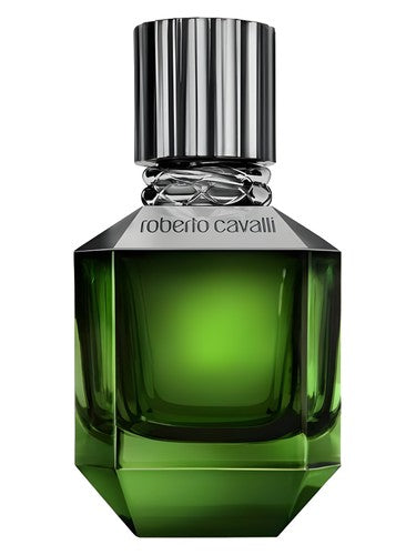 Paradise Found For Men Roberto Cavalli for men
