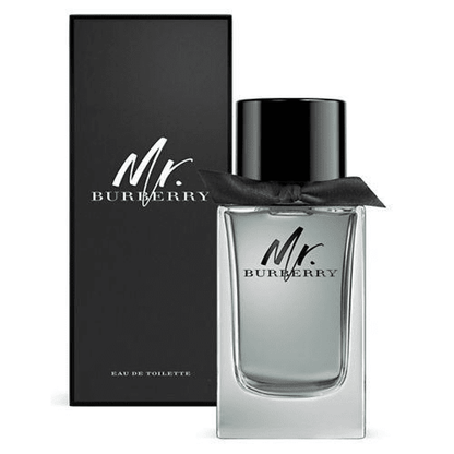Mr. Burberry Eau de Toilette for Men 100ml