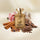 Amouage Jubilation 40 for Men Eau de Parfum 100ml