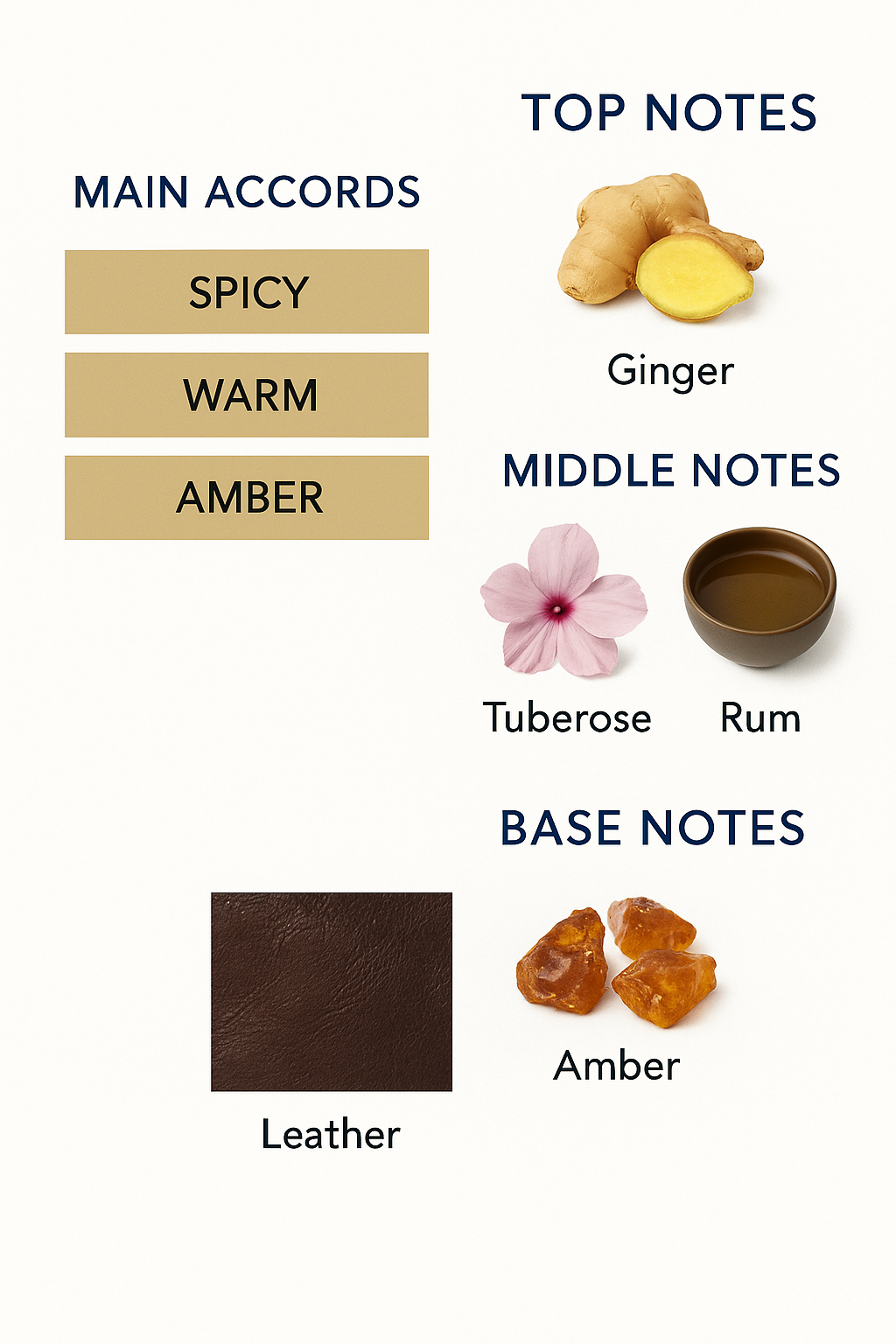 Bvlgari Man in Black Eau de Parfum 100ml