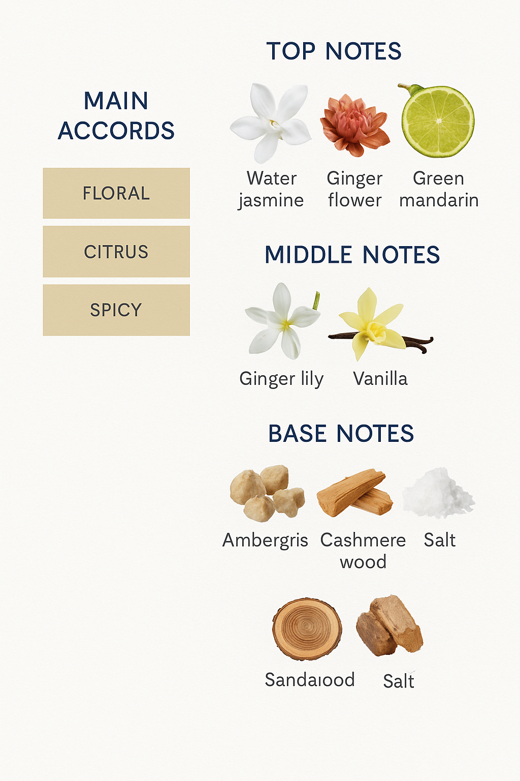 Paco Rabanne Olympea Onyx Collector Edition Eau de Parfum for Women – 80ml