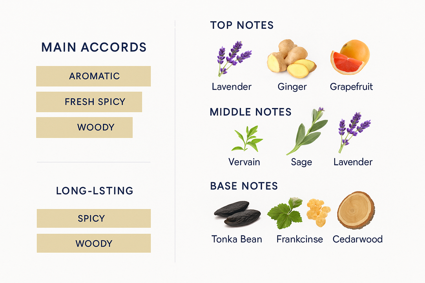 Yves Saint Laurent Y Le Parfum 100ml.