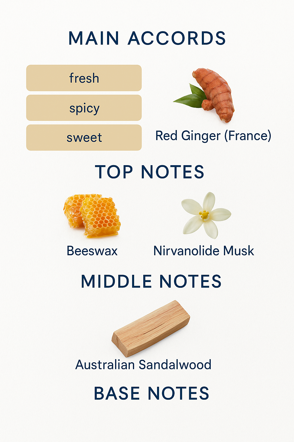 Essential Parfums The Musc Eau de Parfum 100ml