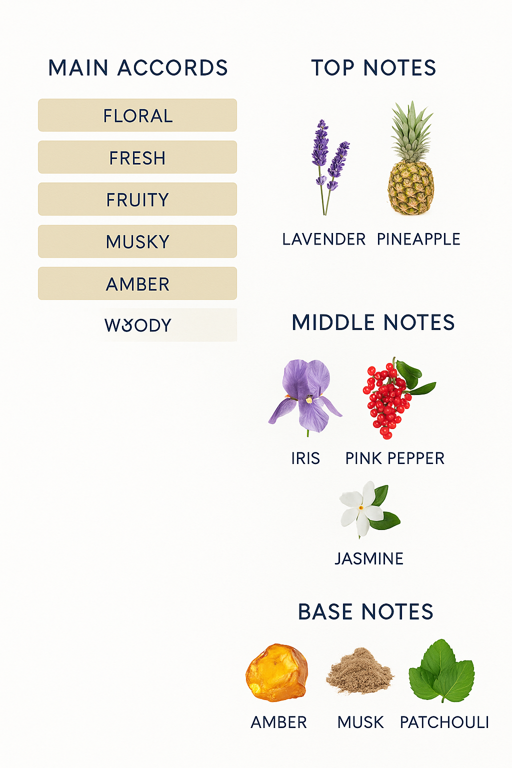 Seduction Oriental Collection by Amado – 75ml