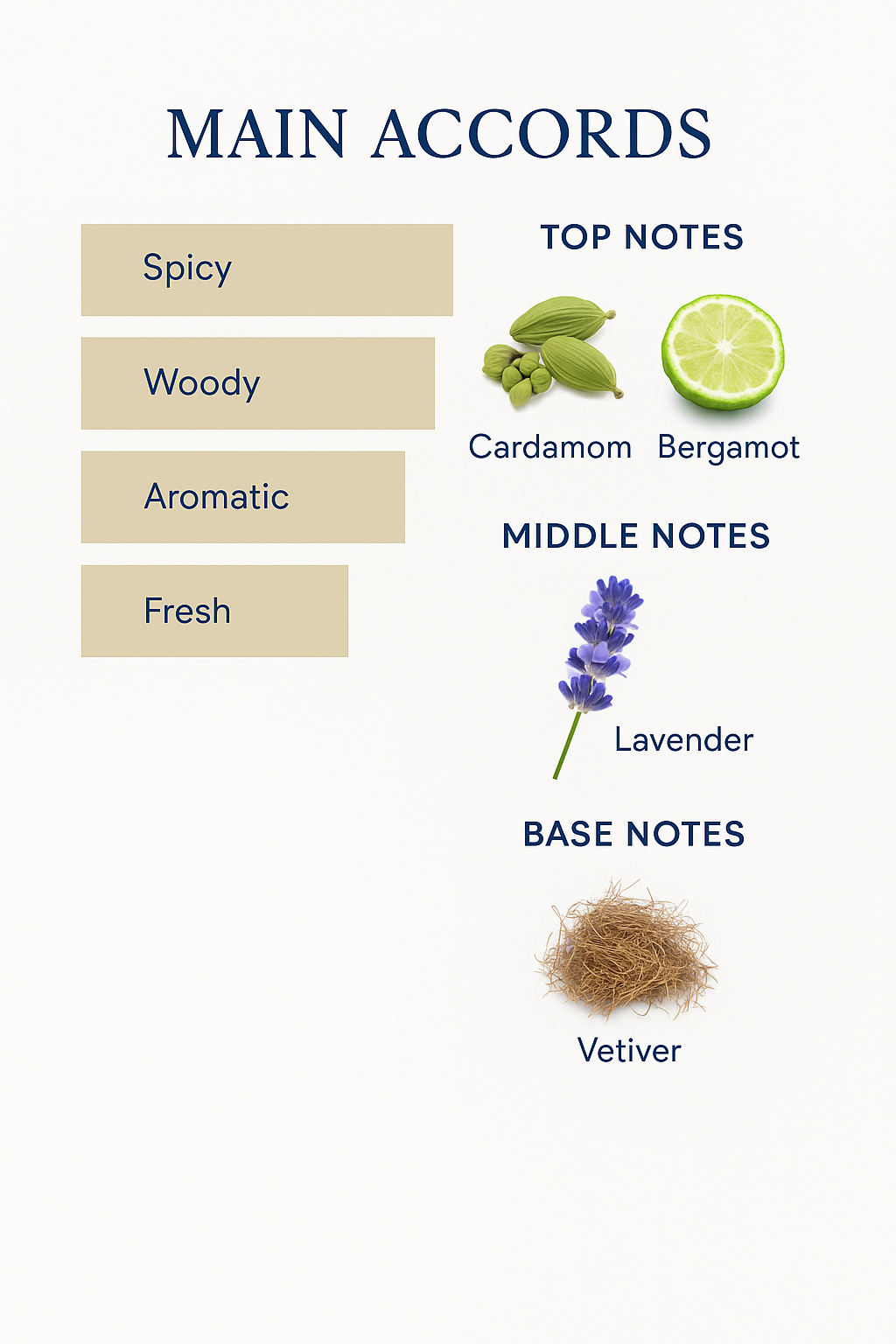 Yves Saint Laurent L’Homme Le Parfum Men’s Perfume 100ml.