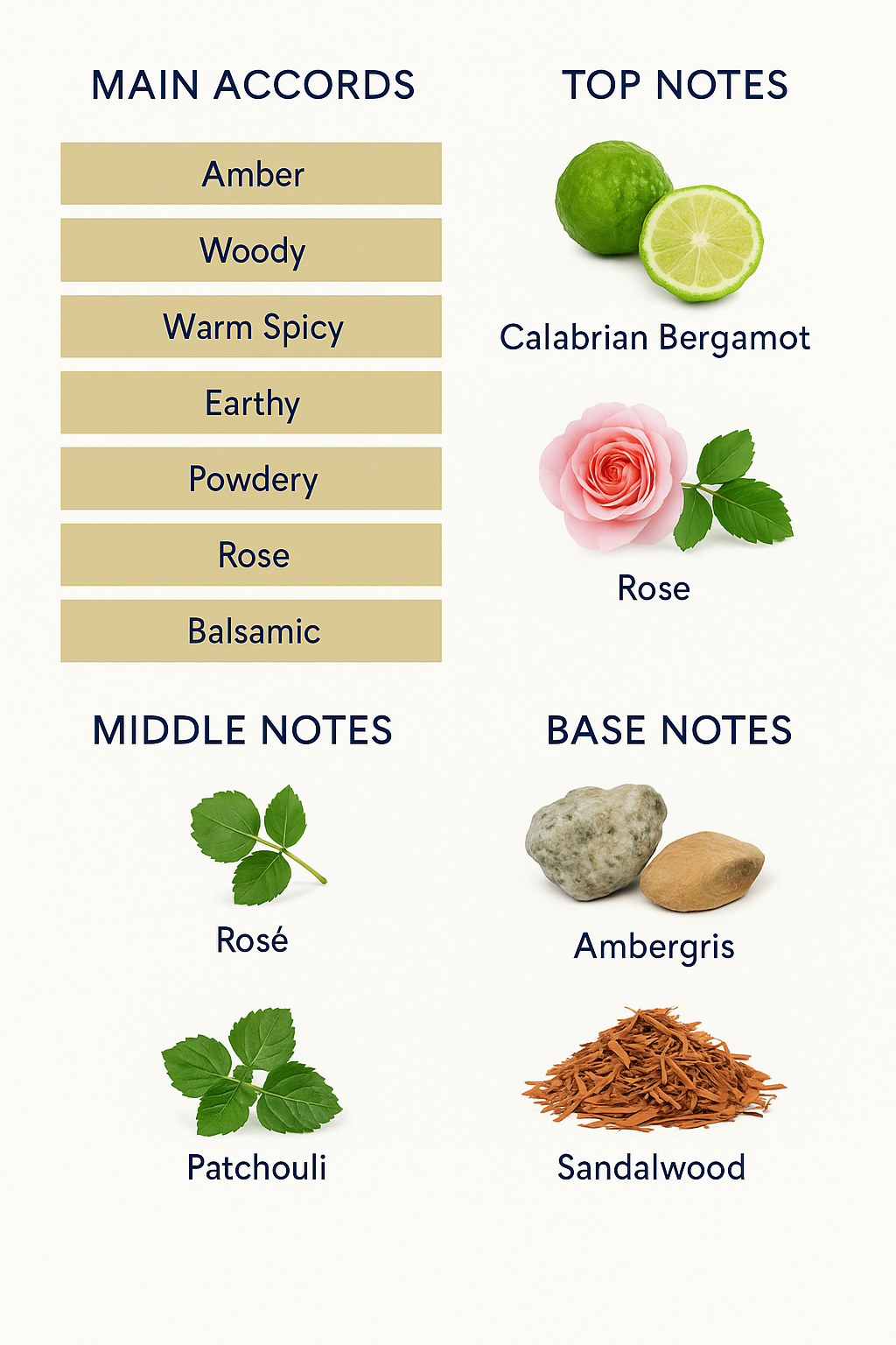 Acqua di Parma Ambra Eau de Parfum 100ml