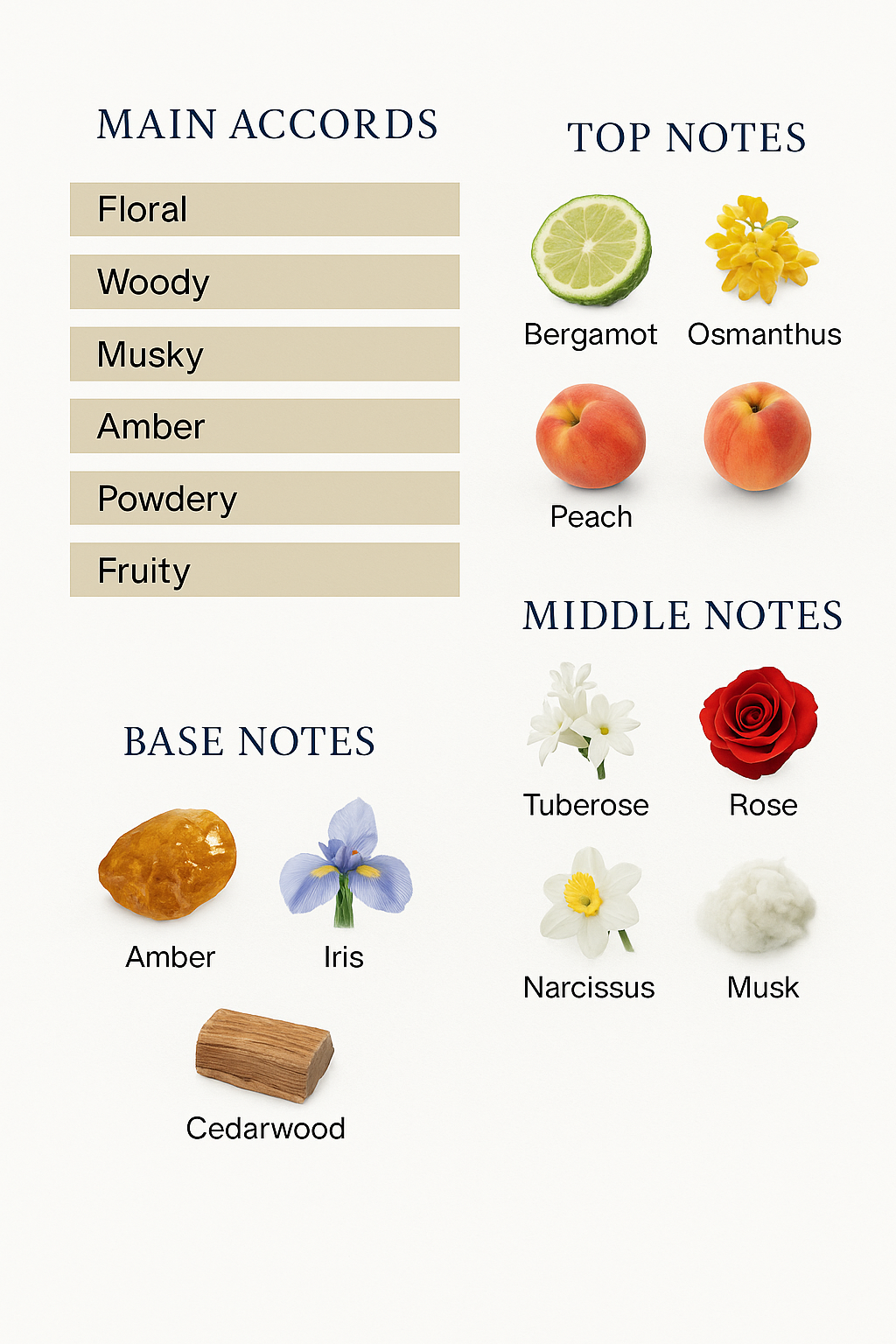 Amado Intuitive Perfume – 75ml