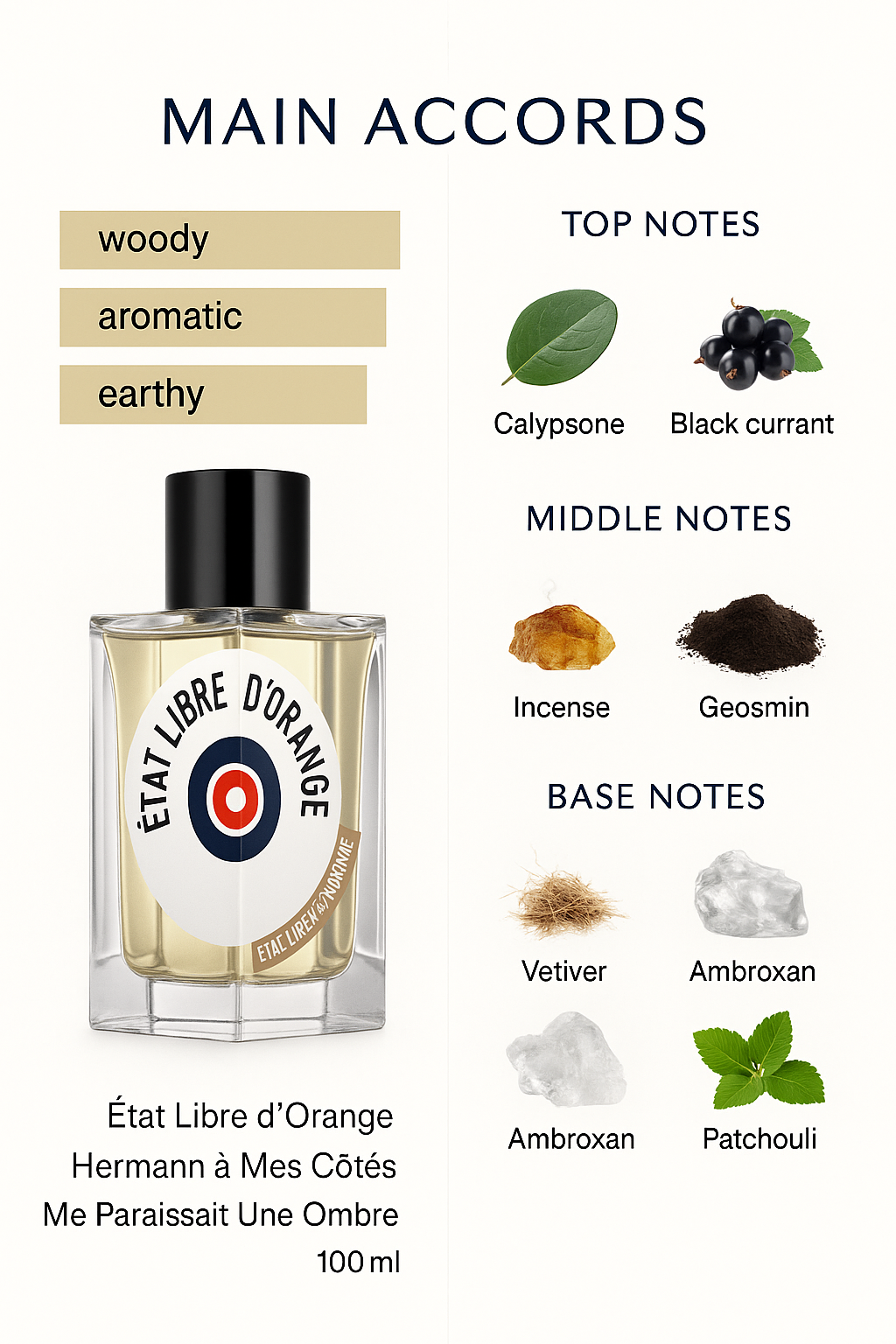 État Libre d’Orange Hermann A Mes Côtés Me Paraissait Une Ombre