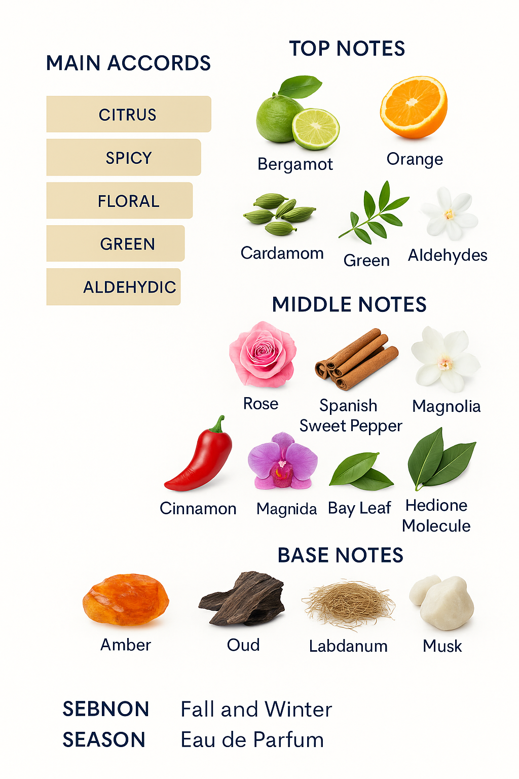 Aramis Havana Pour Elle Eau de Parfum for Women 100ml.