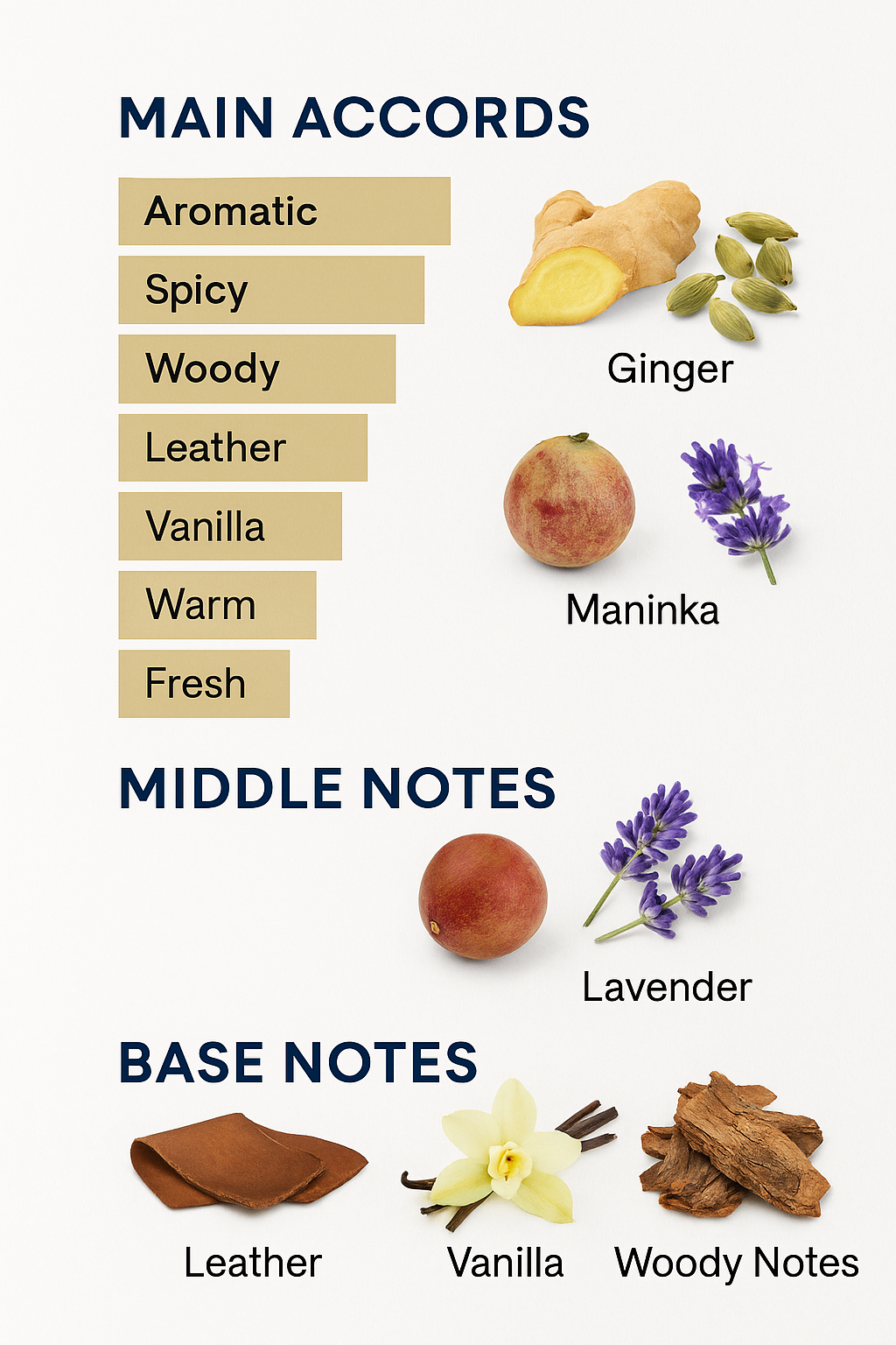 Boss The Scent Intense Eau de Parfum for Men 50ml.