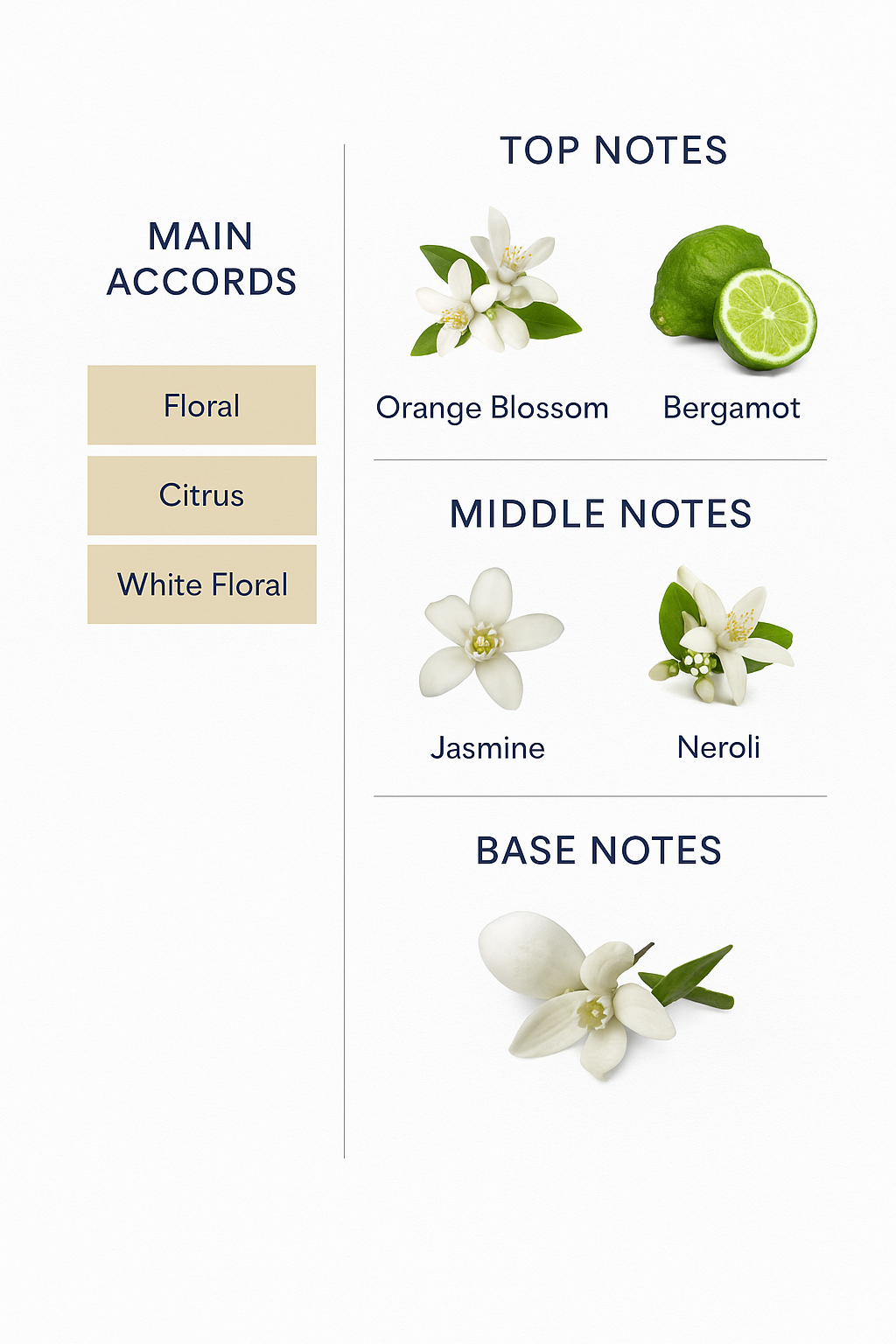 Matir Premier Neroli Oranger 100ml (Tester)