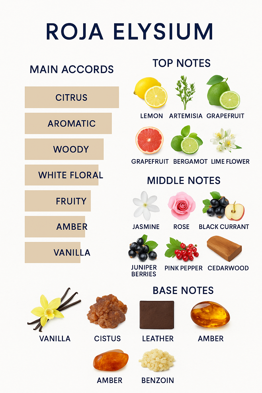 Roja Elysium Men's Eau de Parfum Cologne 100ml