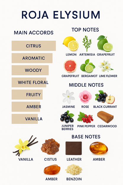 Roja Elysium Men's Eau de Parfum Cologne 100ml