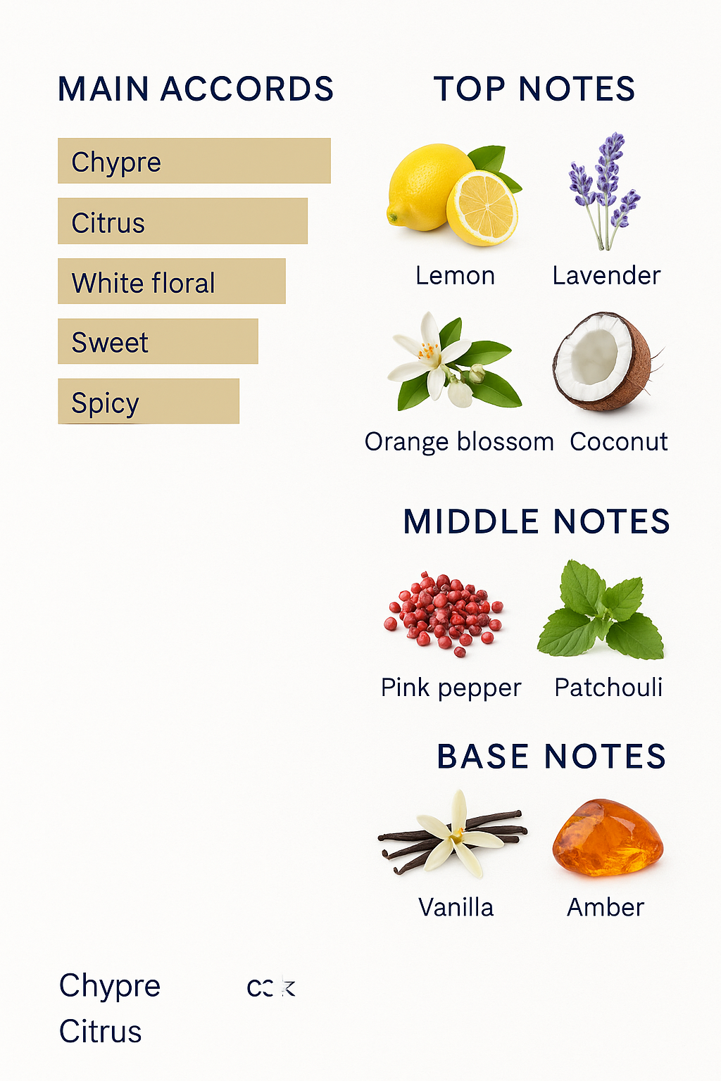 Roja Oligarch Parfum 50 ml