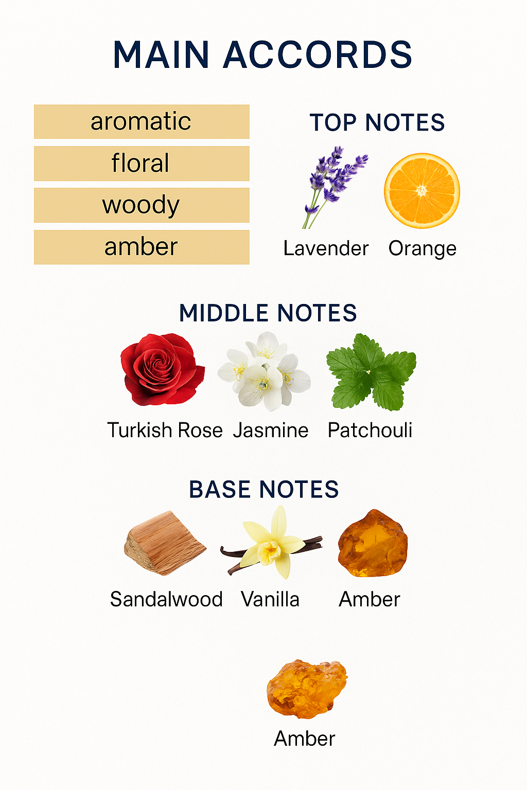 The Woods Collection Secret Eau de Parfum 100ml