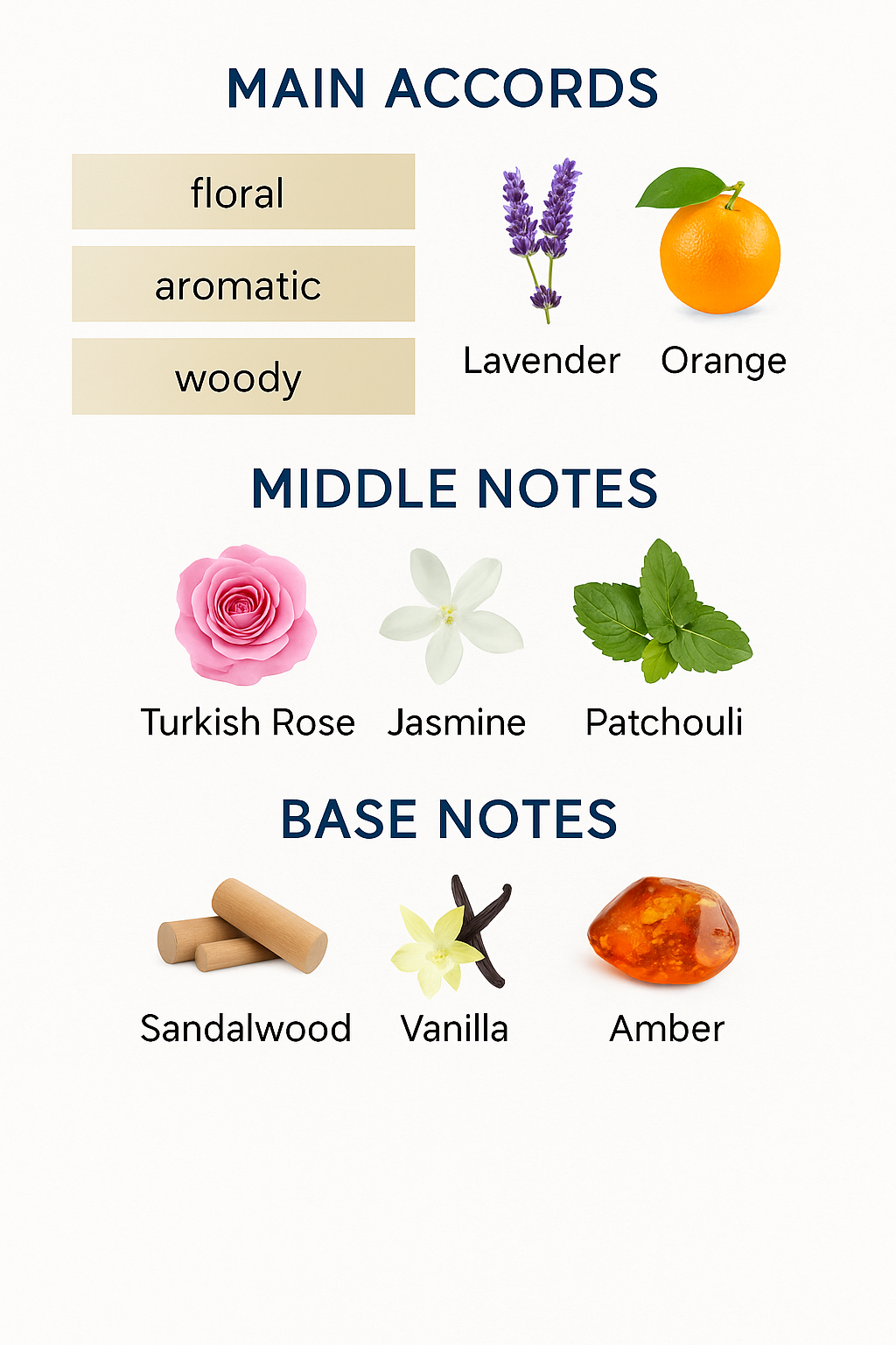 Woods Collection Dusk Eau de Parfum 100ml