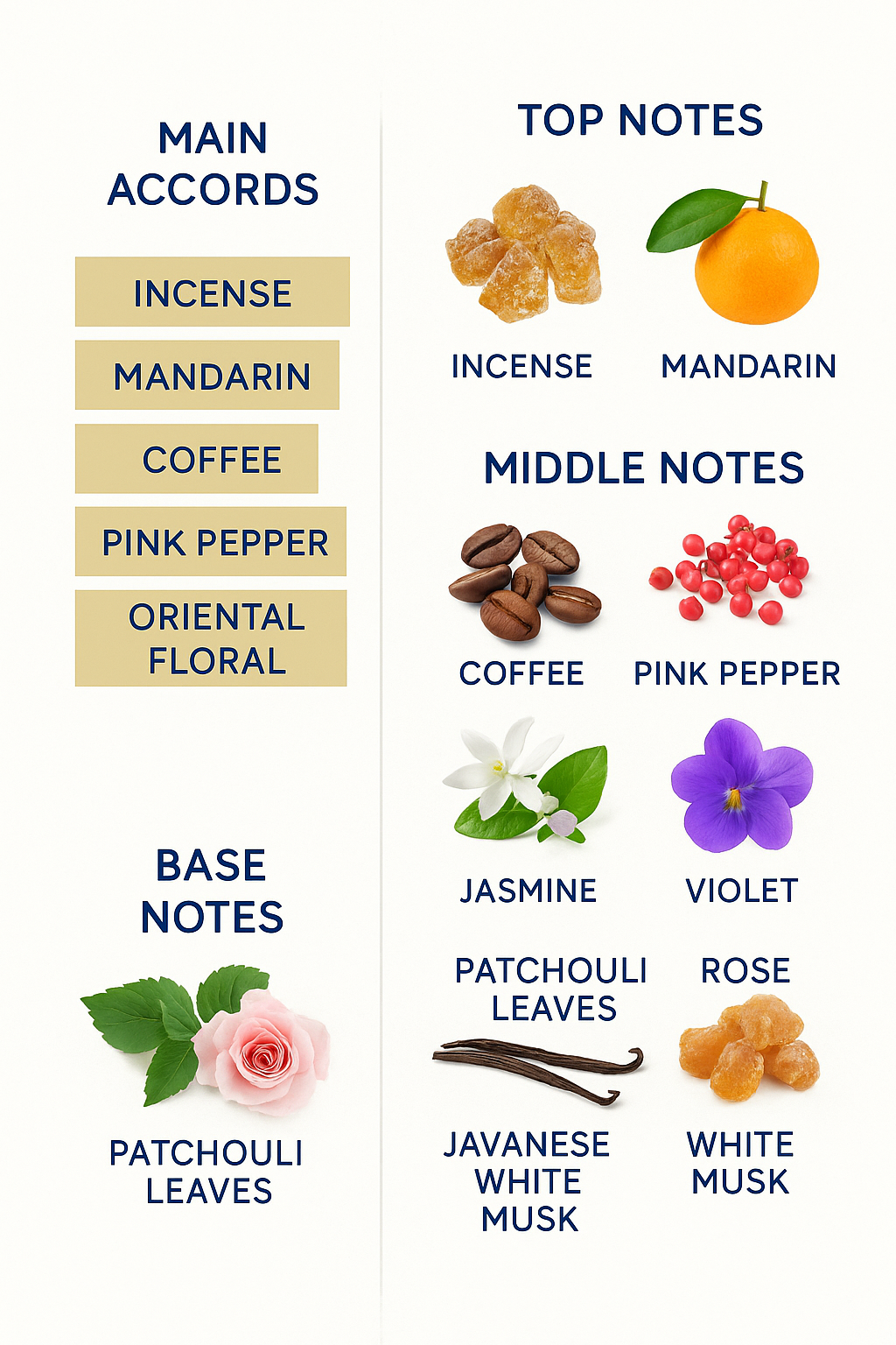 Mancera Coco Vanilla Eau de Parfum for Women 120ml