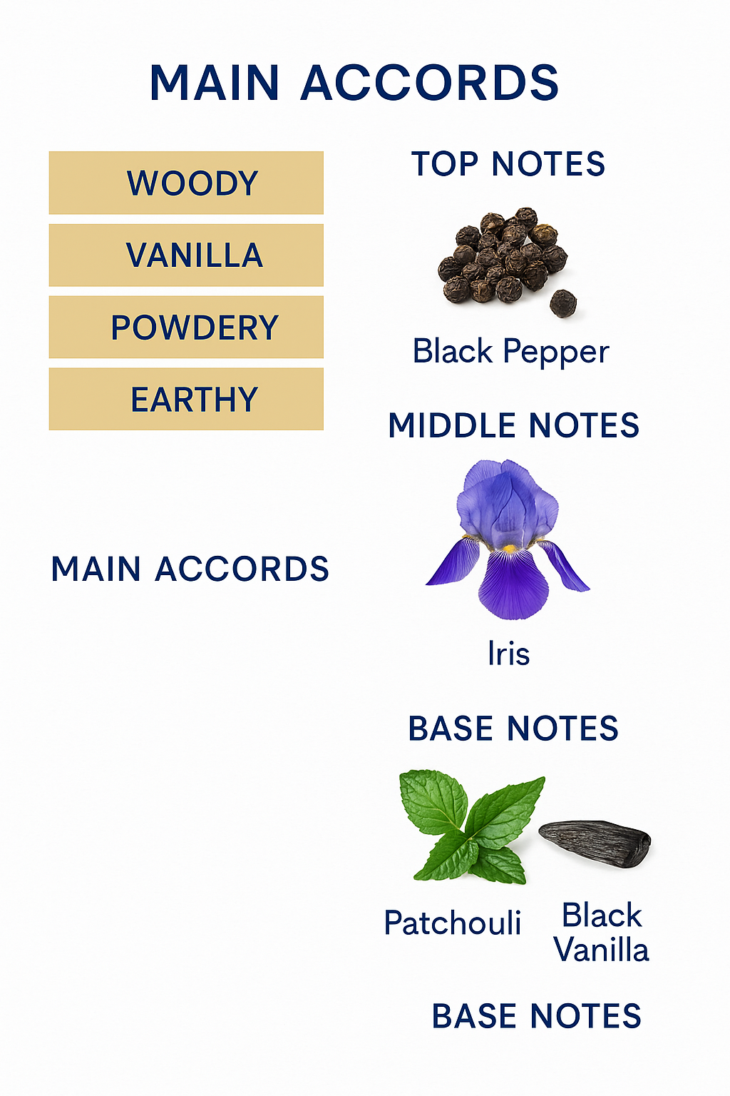 Givenchy Gentleman Eau de Parfum for Men 100ml