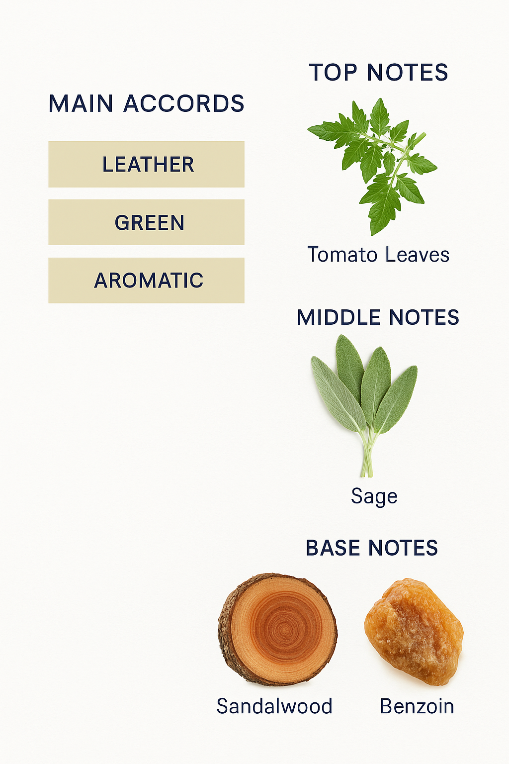 Memo Italian Leather Eau de Parfum for Unisex 75ml Tester