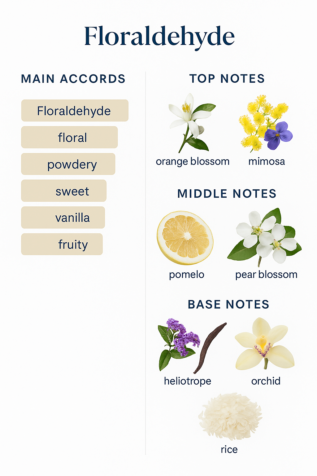 Valentino Rosa Assoluto Eau de Parfum 80ml