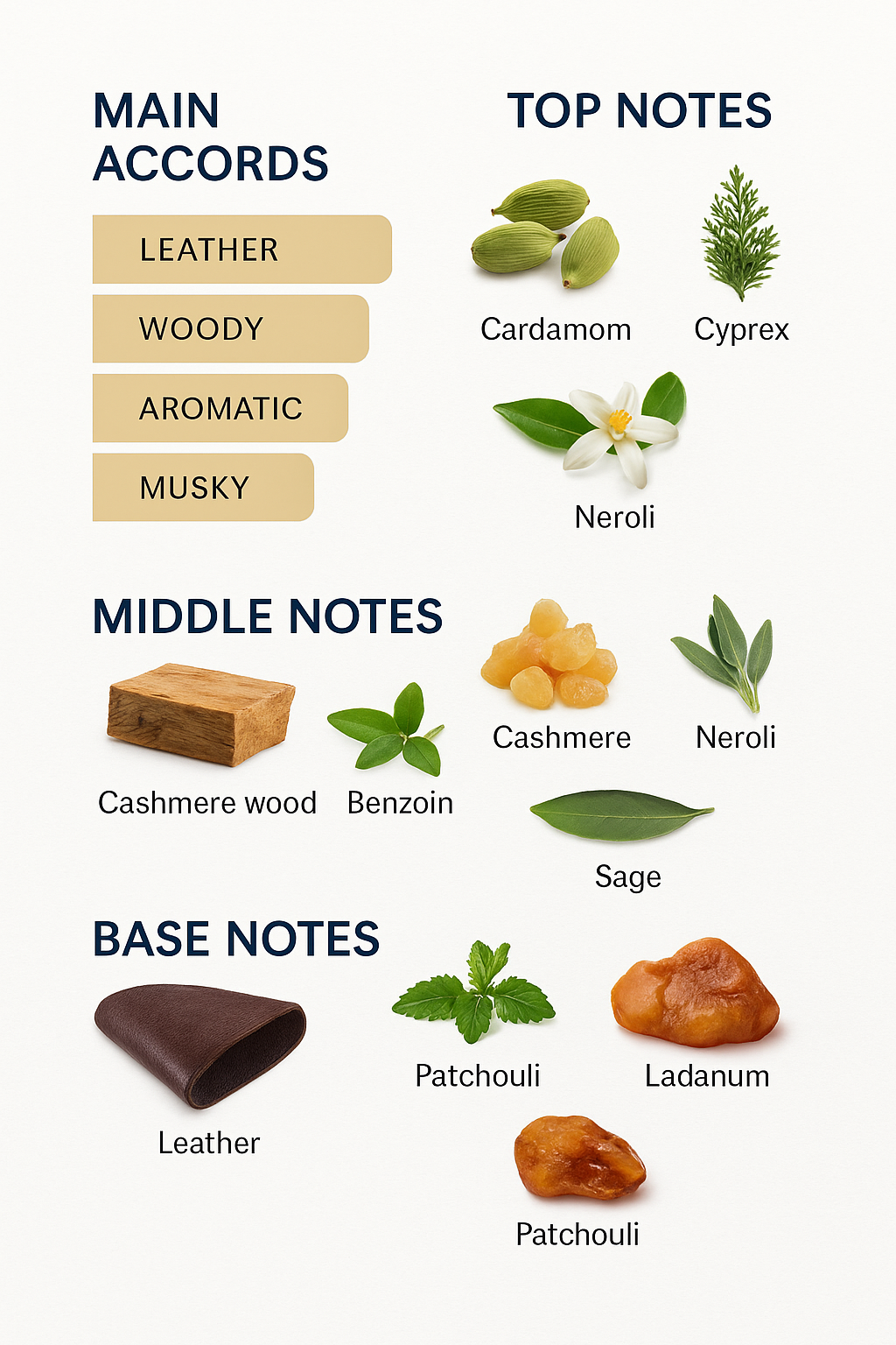 Dolce & Gabbana The One Eau de Parfum Intense for Men 100ml