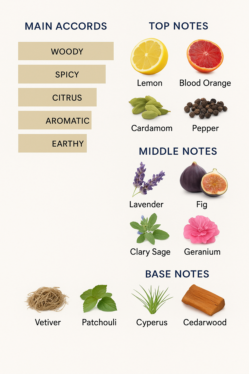 Dolce & Gabbana K Eau de Parfum for Men 100ml