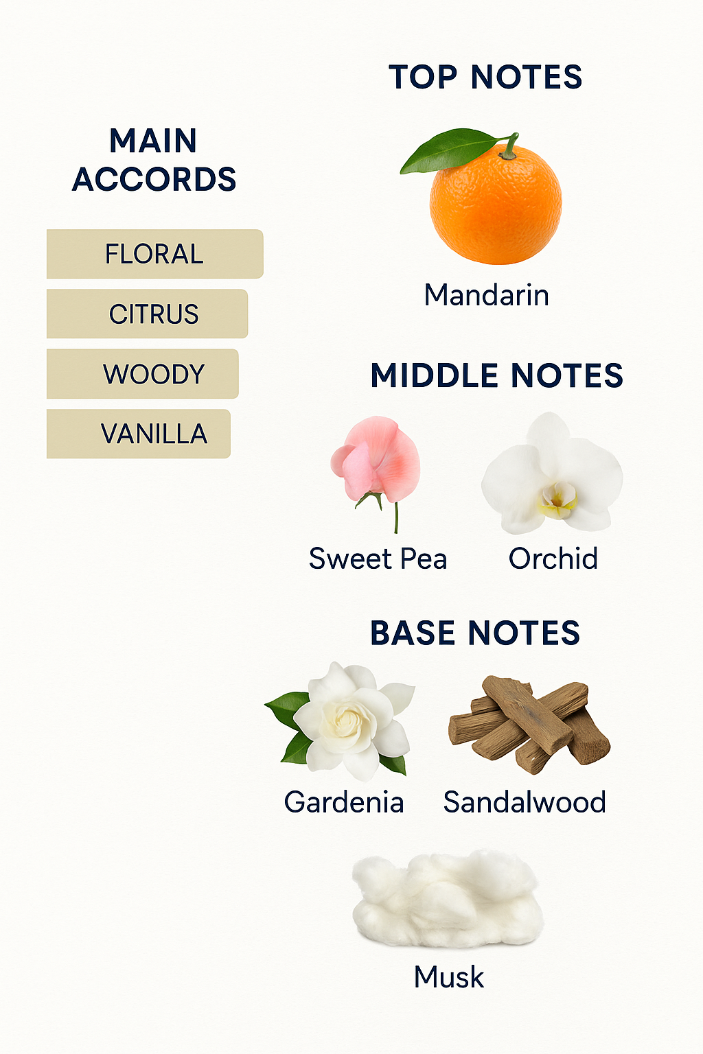 Nina Ricci Premier Jour Eau de Parfum for Women 100ml