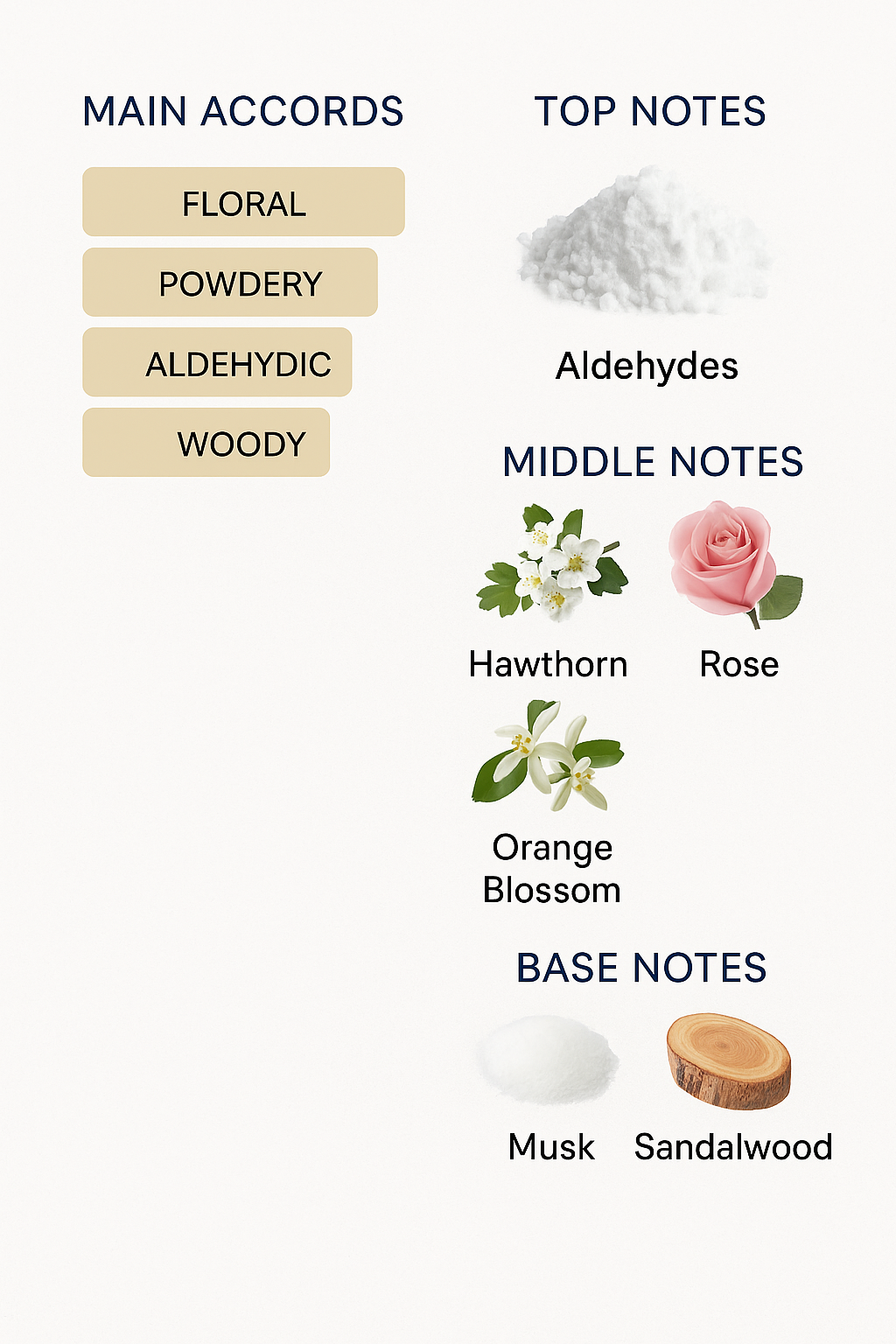 Nicolai Powder de Musc Intense Eau de Parfum 100ml (Tester)