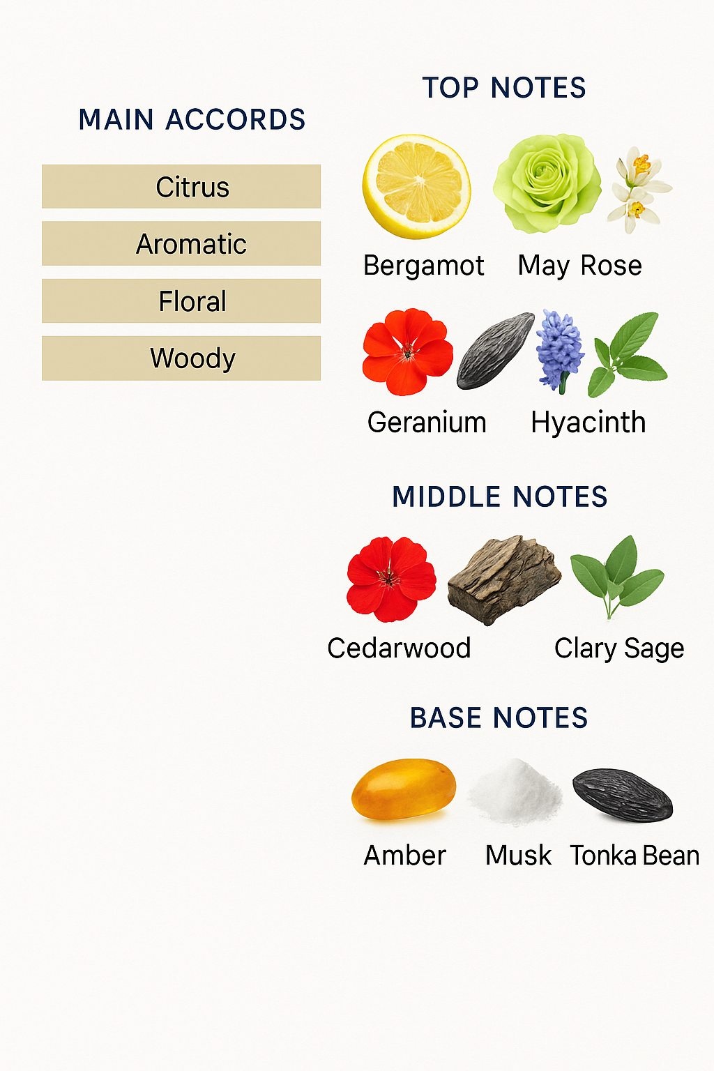 Versace Pour Homme Eau de Toilette for Men 100ml