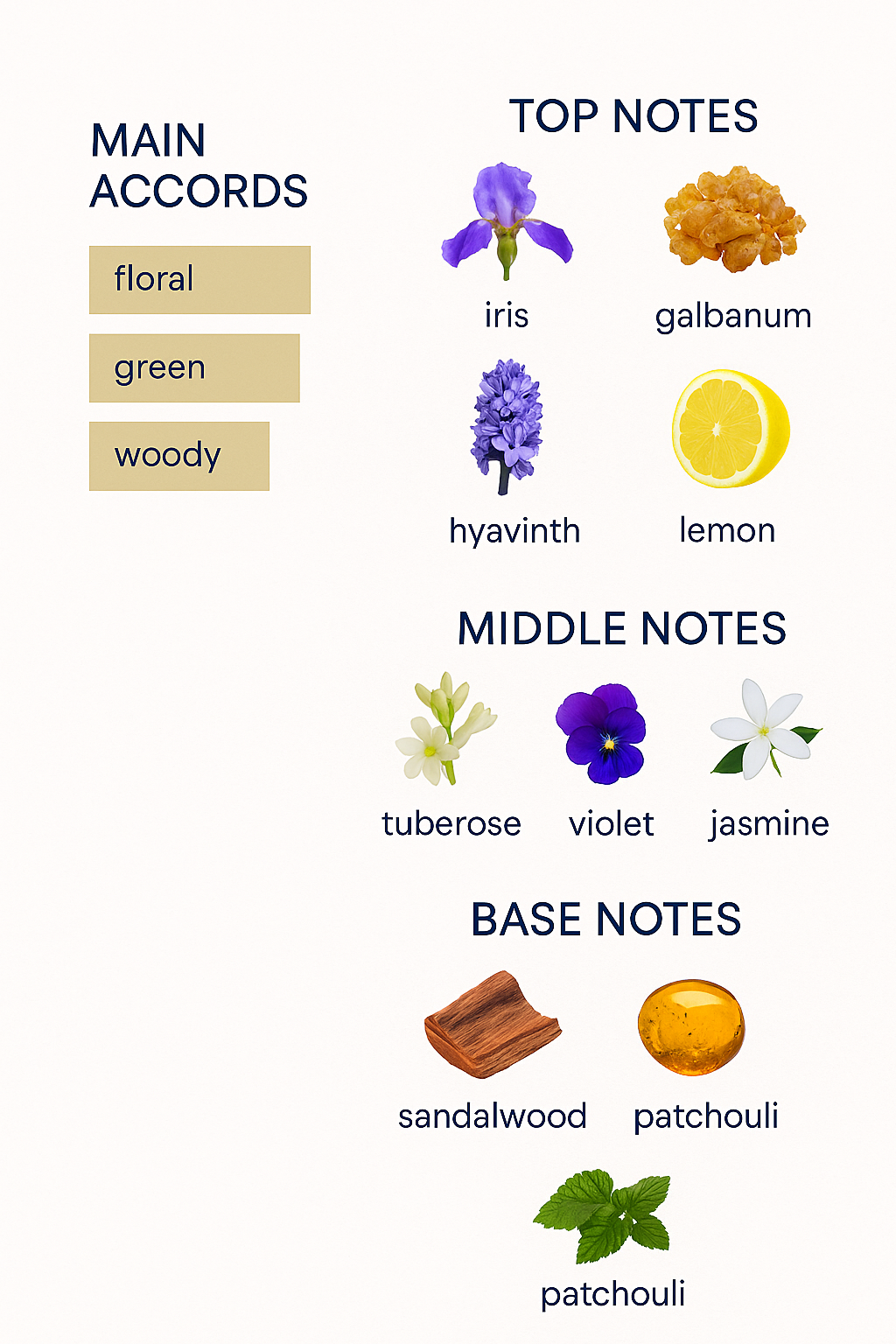 Guy Laroche Fidji Eau de Toilette for Women 100ml