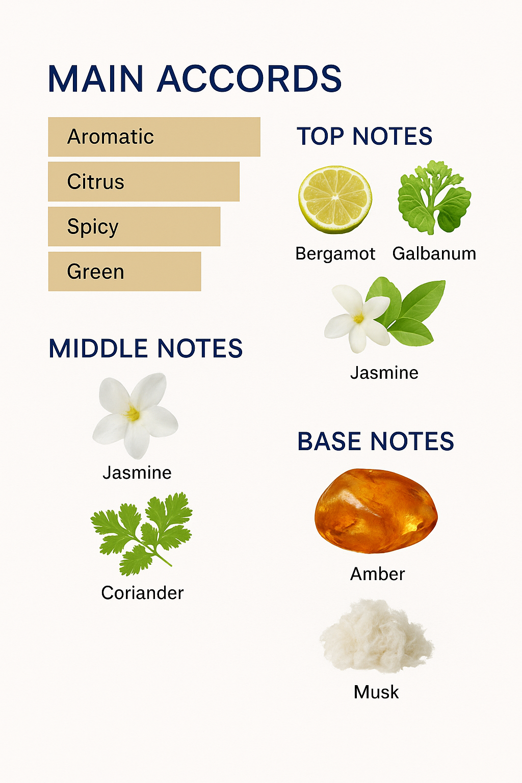 Nishani Ambra Calabria Perfume 50ml