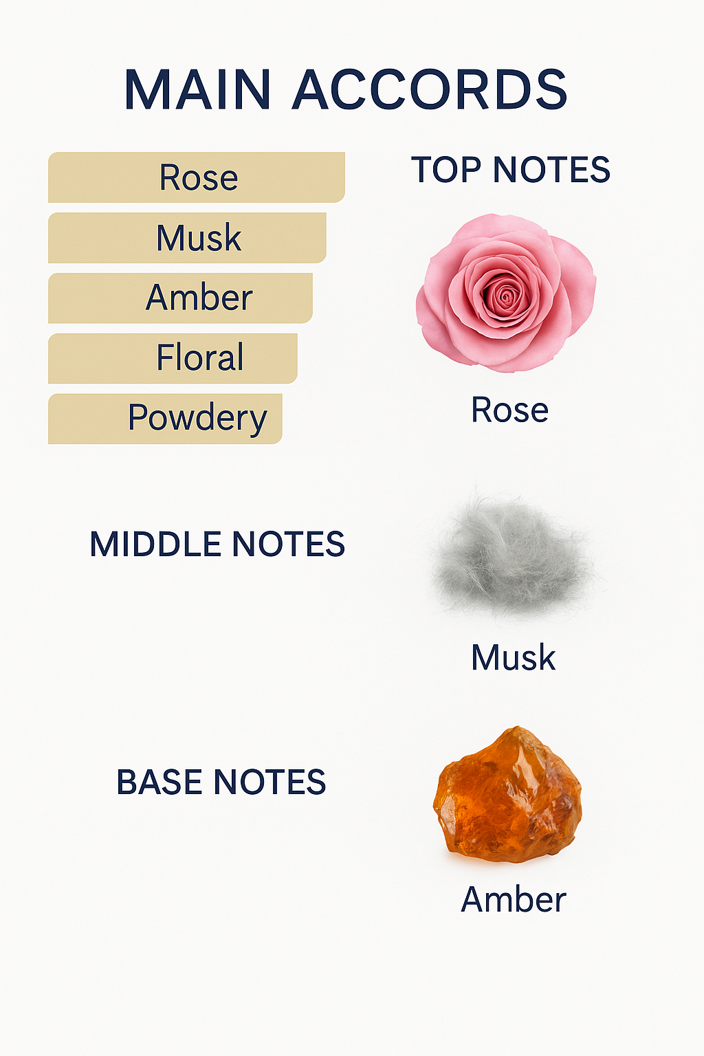 Narciso Rodriguez Rose Musc Eau de Parfum - 100ml