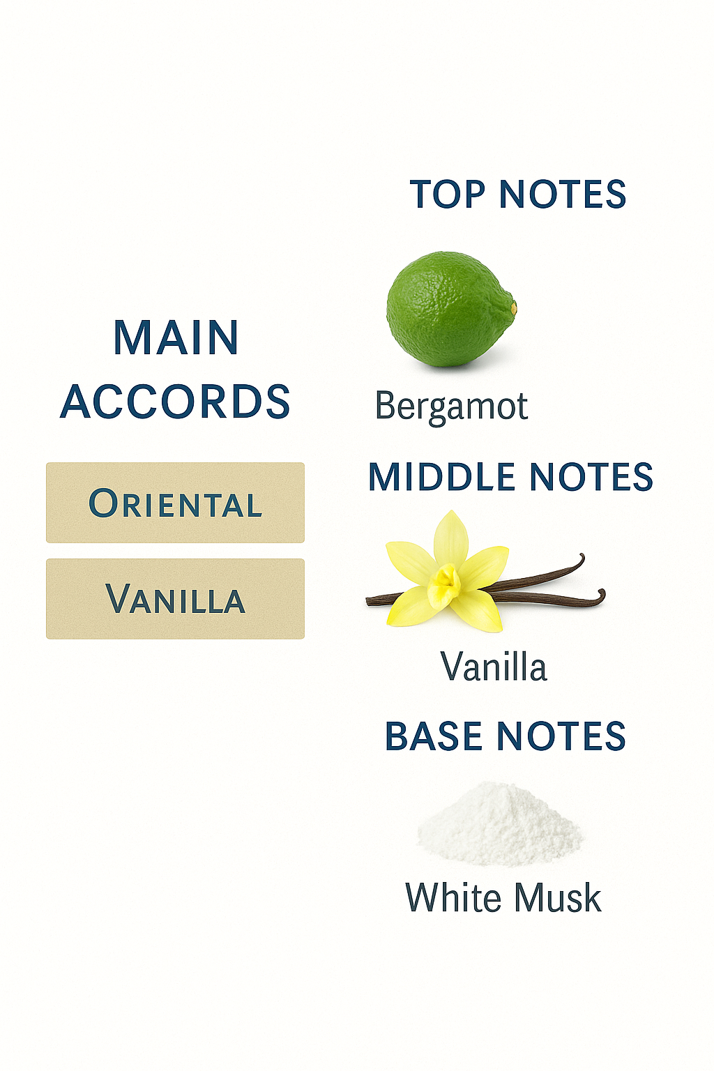 Chanel Coco Noir Eau de Parfum for Women 100ml