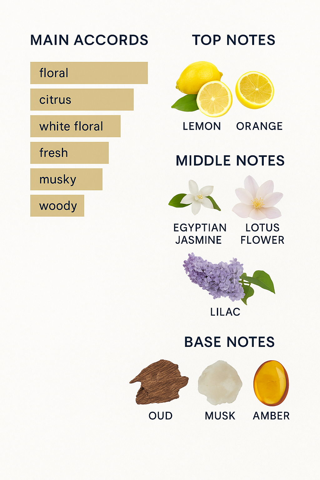 Burberry Brit Rhythm Floral Eau de Toilette for women 90ml