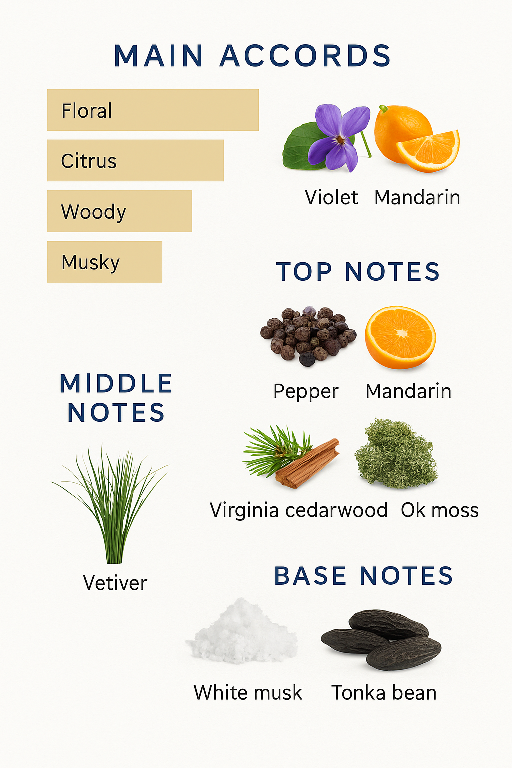 Burberry Touch Eau de Toilette for Men 100ml