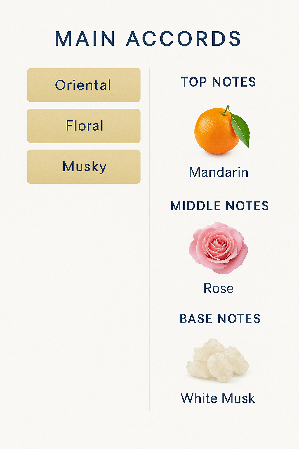 Chanel Coco Mademoiselle L'Eau Prive Eau Pour La Nuit 100ml