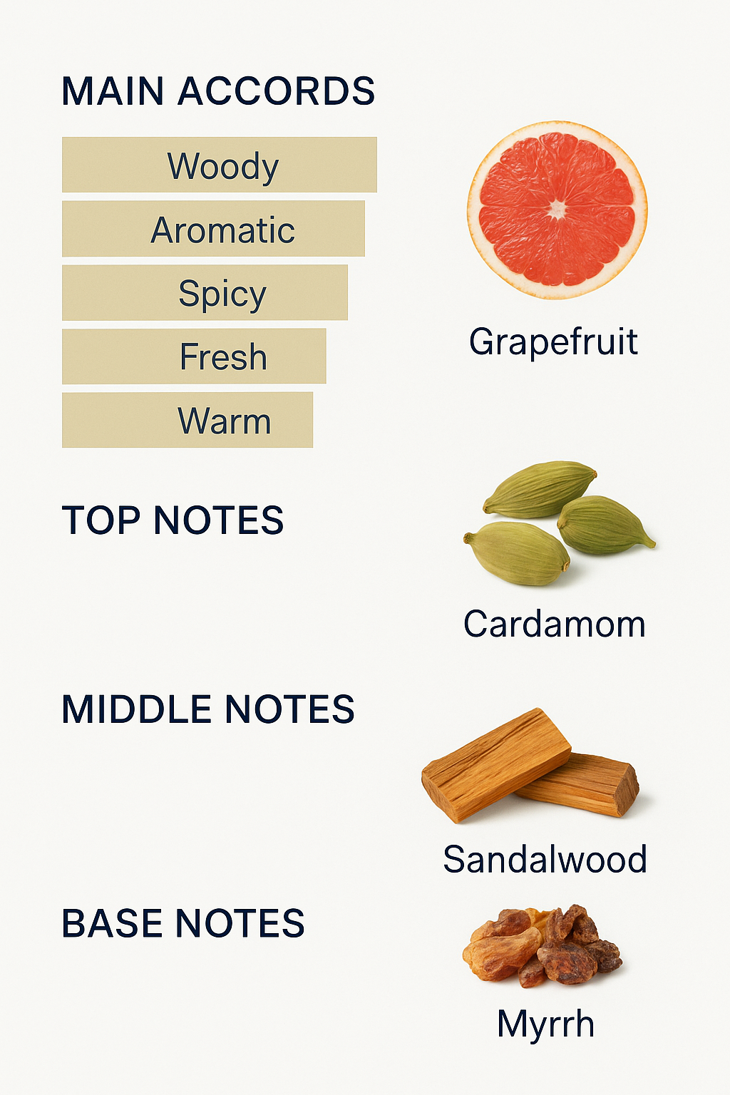 Mr. Burberry Eau de Toilette for Men 100ml