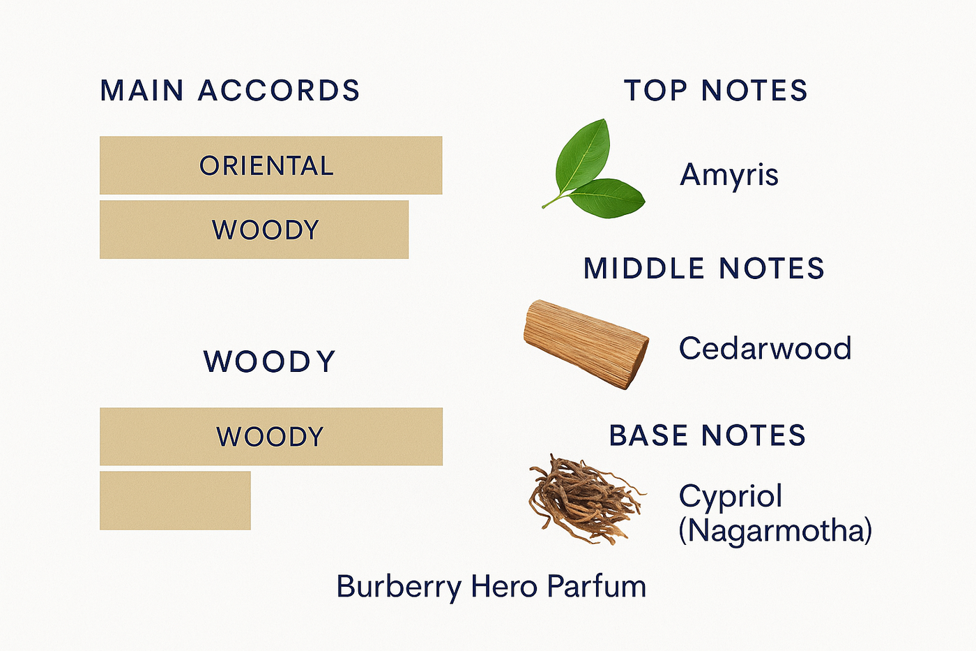 Burberry Hero Eau de Parfum for Men 100ml (Tester)