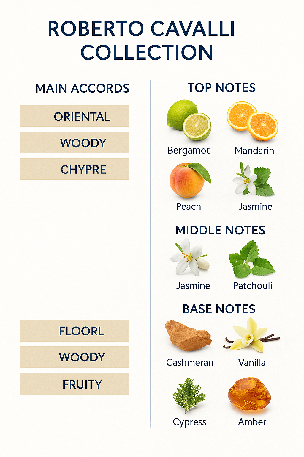 Roberto Cavalli Paradiso Azzurro Perfume Collection