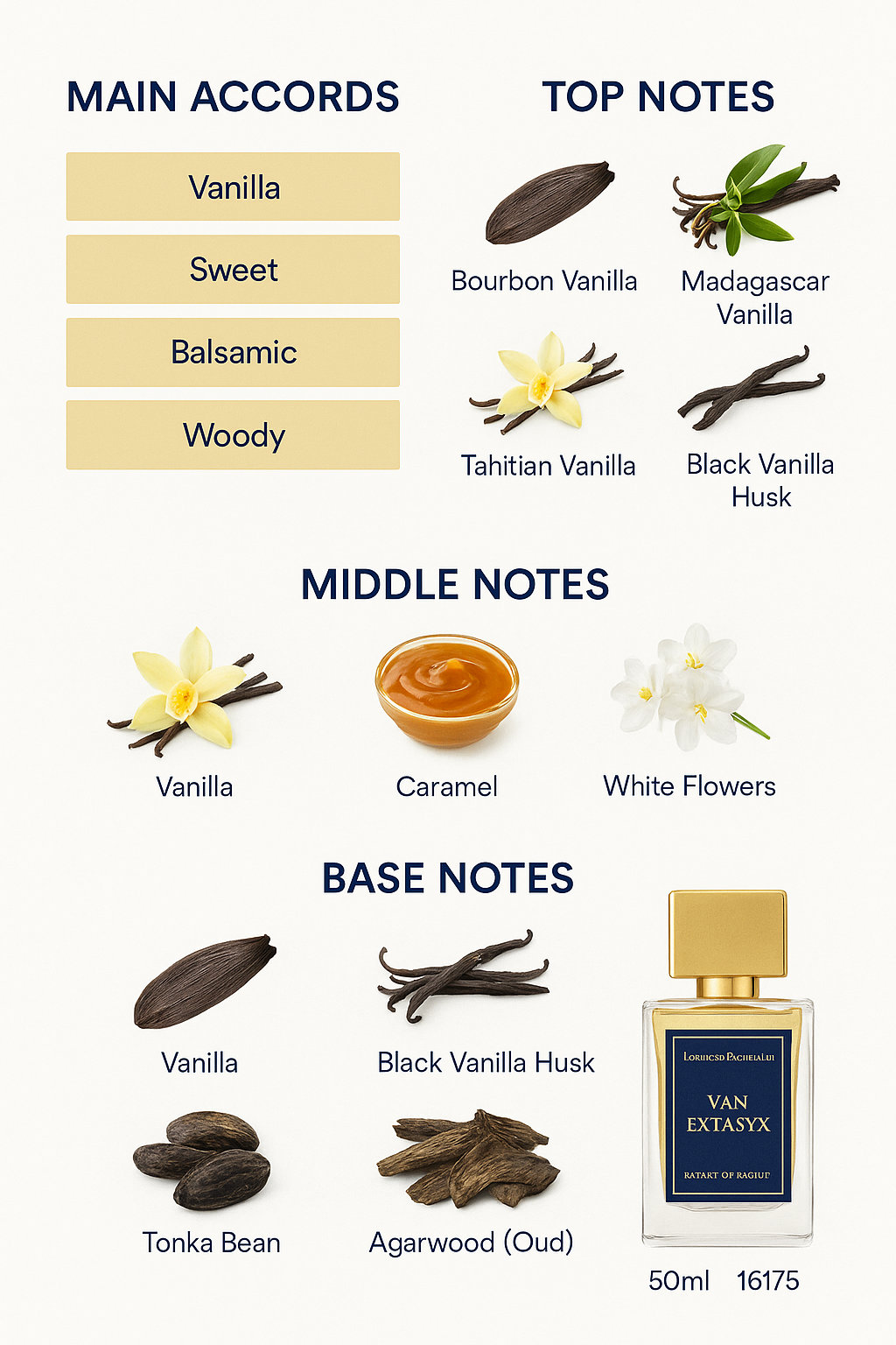 Lorenzo Basaglia Van Ecstasix Extrait Eau de Parfum 50ml