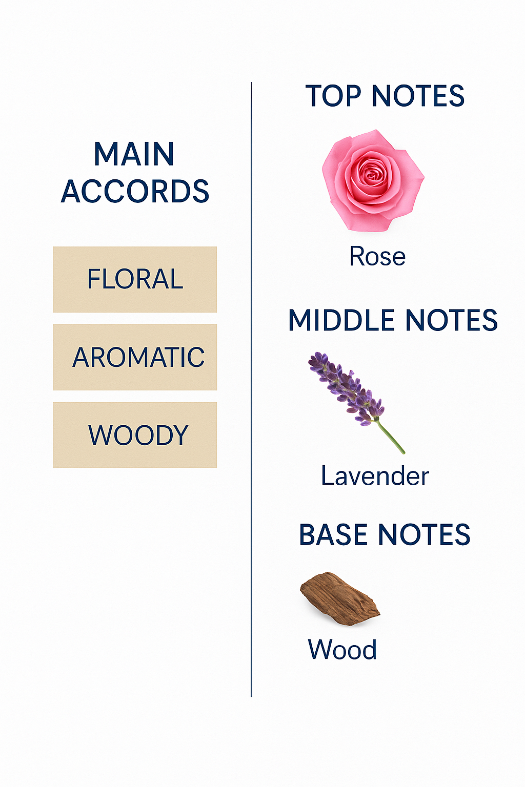 J. Casanova Malachite perfume for women, Eau de Parfum, 100 ml