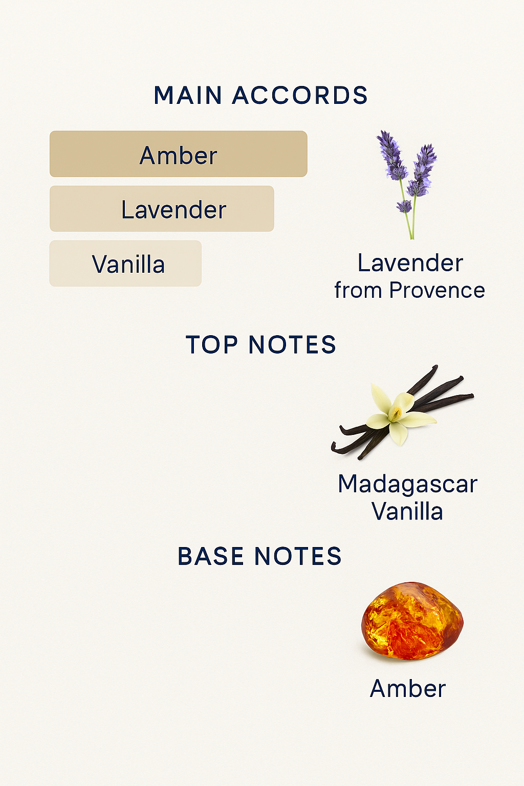 Stronger with You Amber Armani Eau de Parfum 100ml.