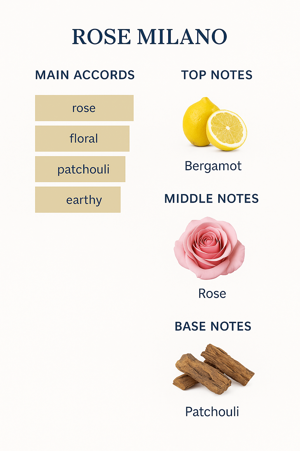 Armani Prive Rose Milano Eau de Toilette for Unisex 100ml