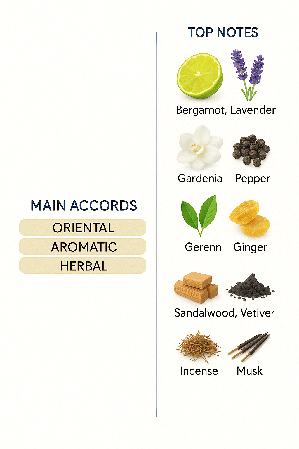 Bijan Black for Men Eau de Toilette 75ml