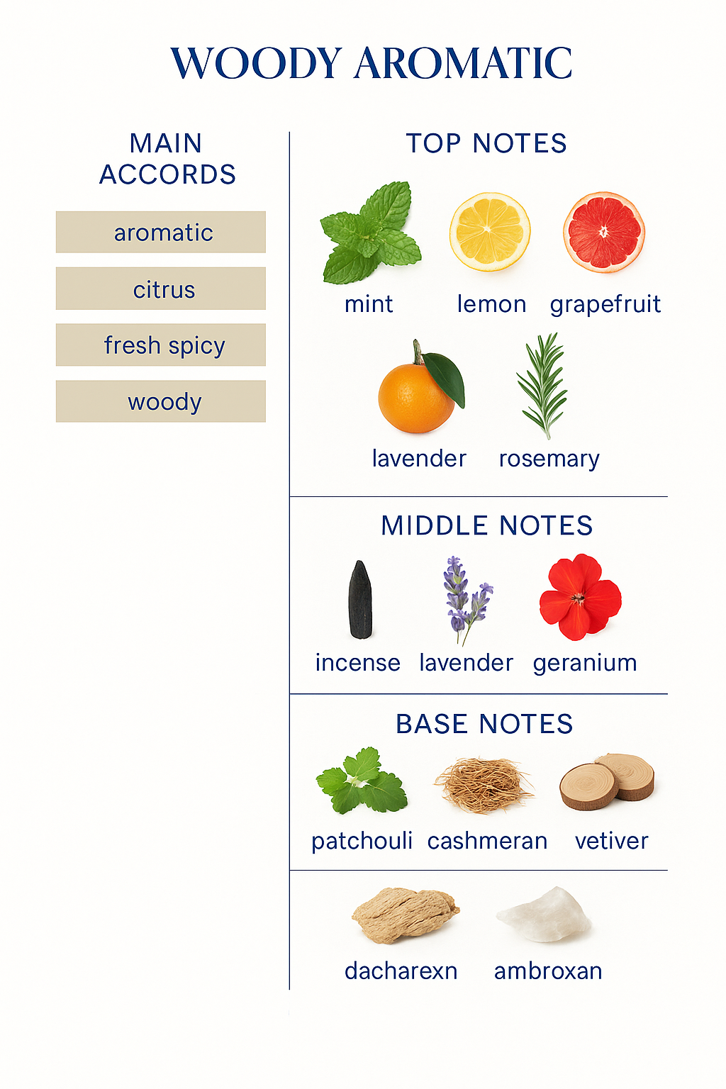 Sedley Eau de Parfum by Parfums de Marly – 125ml