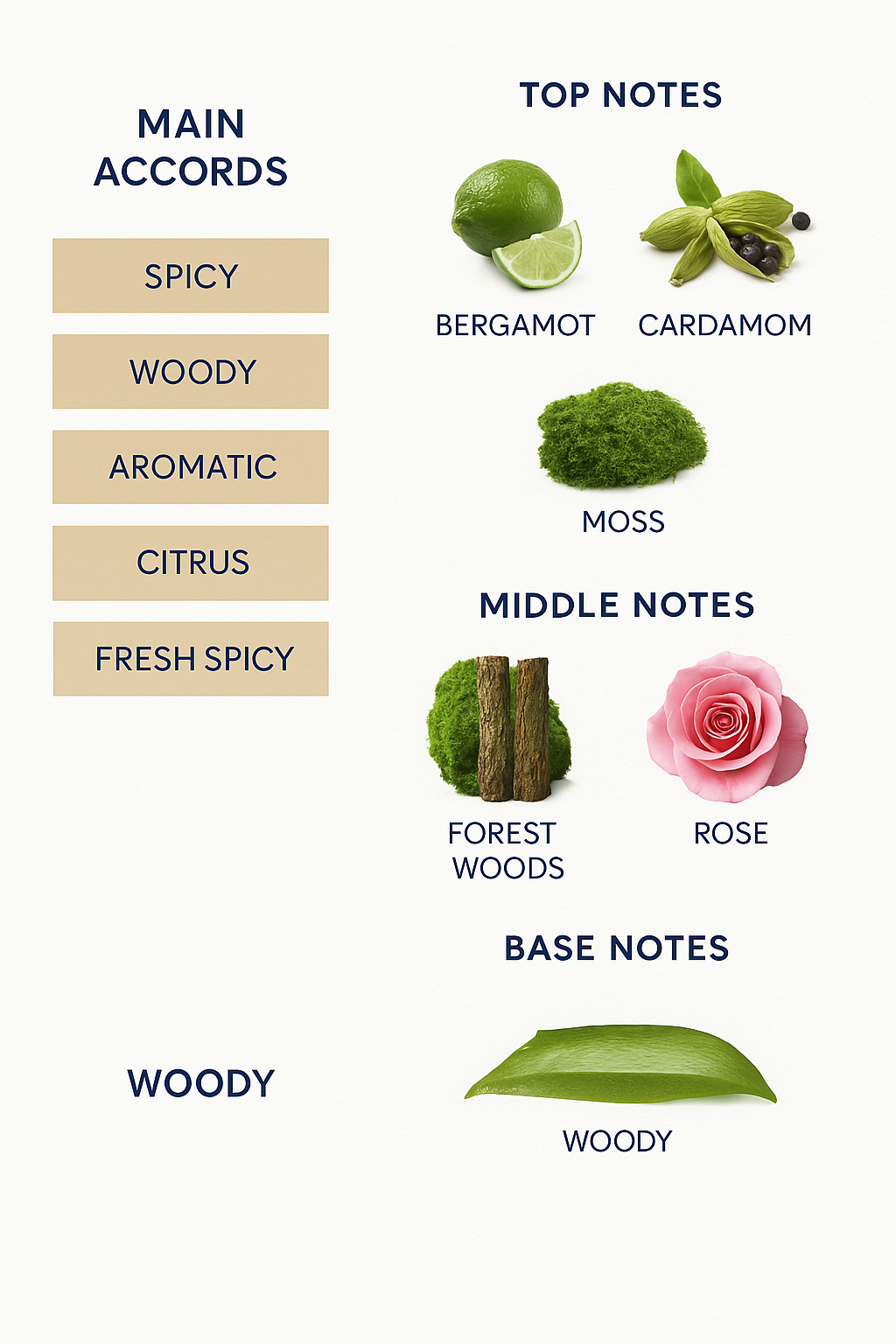 Taws 1920 The Origin Eau de Parfum 100ml.