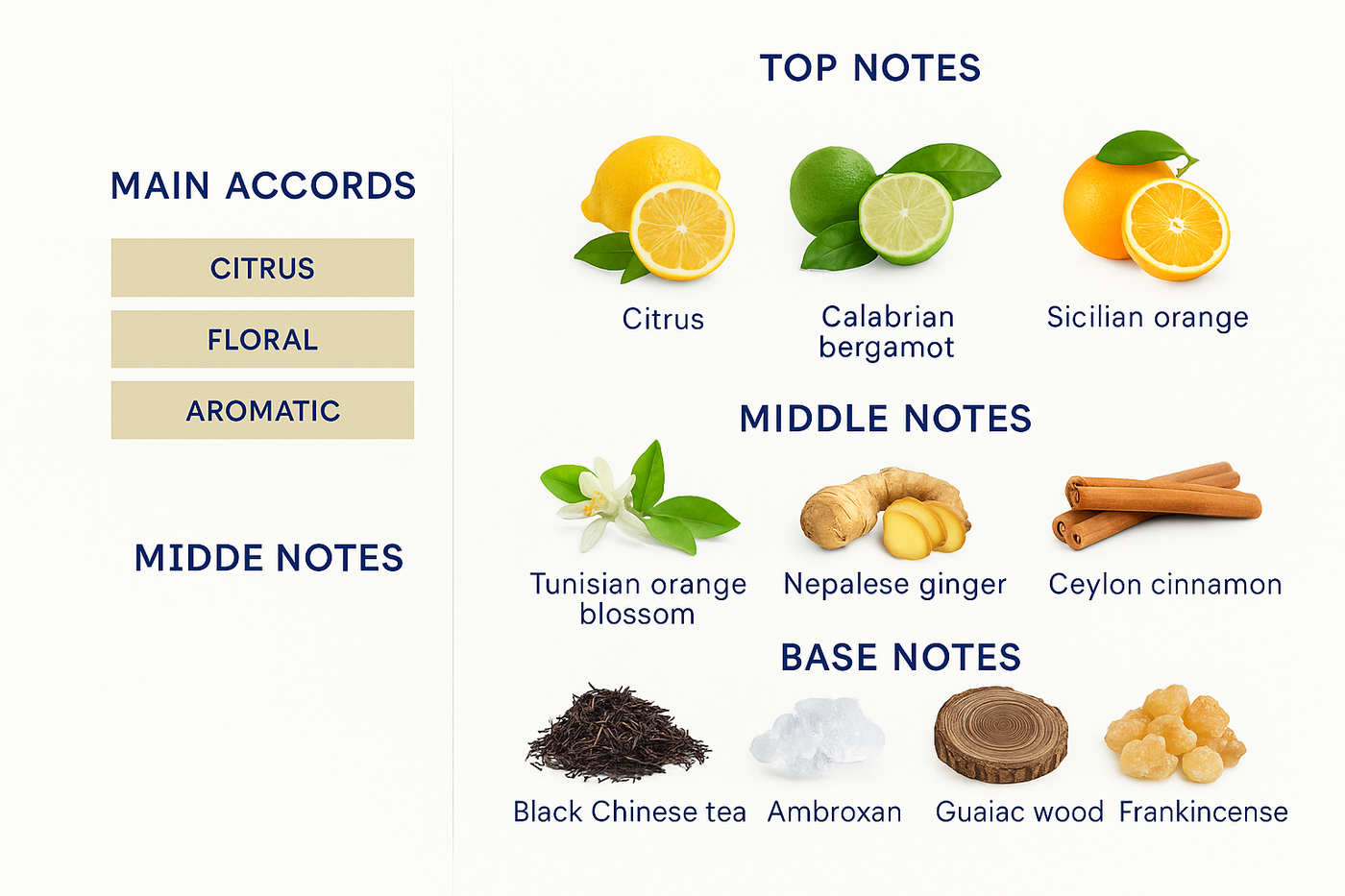 Despacito Neroli Blanche Extrait de Parfum – 100ml Despacito Neroli Blanche EXTRAIT DE PARFUM – 100ml